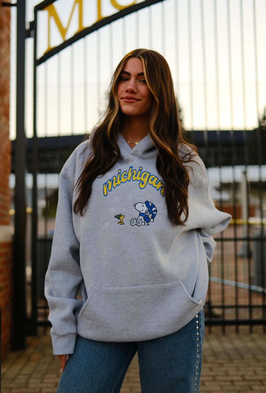 Unisex Embroidered Snoopy Blizzard Hoodie