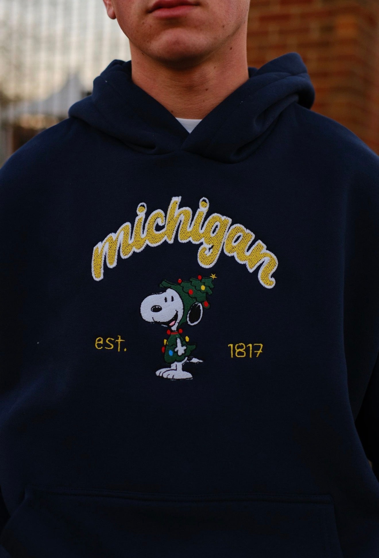 MITTN x Embroidered Snoopy Christmas Tree Hoodie