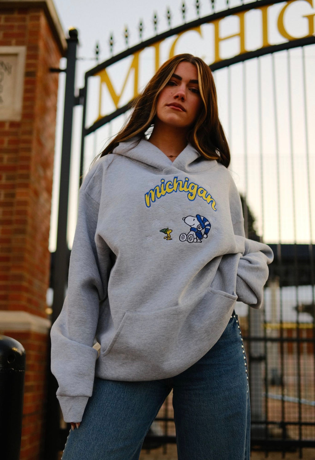 Unisex Embroidered Snoopy Blizzard Hoodie
