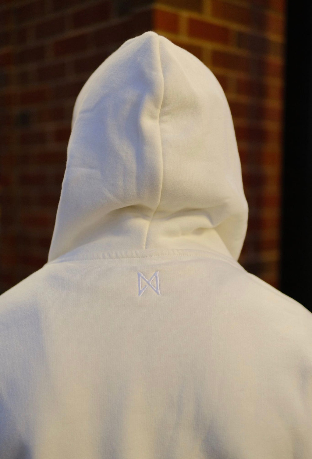Unisex Embroidered Charlie Brown Hoodie